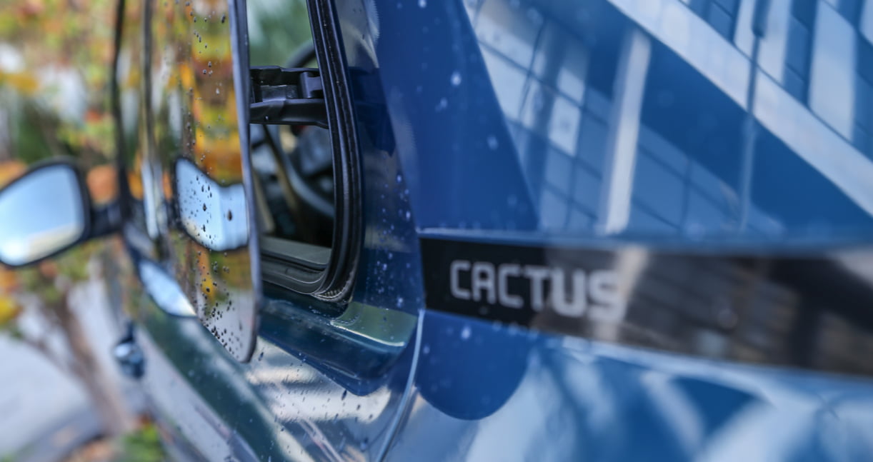 Citroën geeft geen vervolg aan kasplantje C4 Cactus