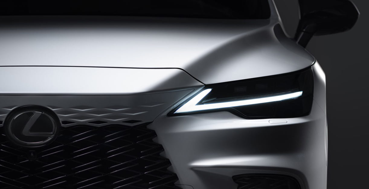 LexusRX2023plaag