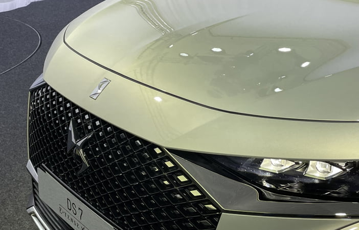 DS7b