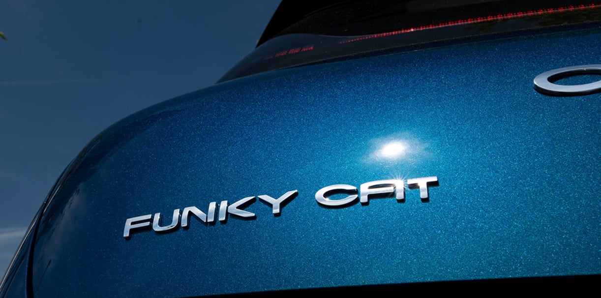 OraFunkyCat