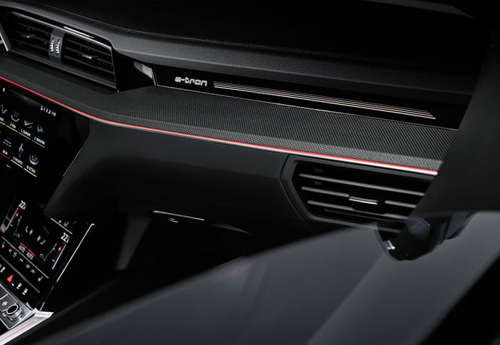 AudiQ8eTron19