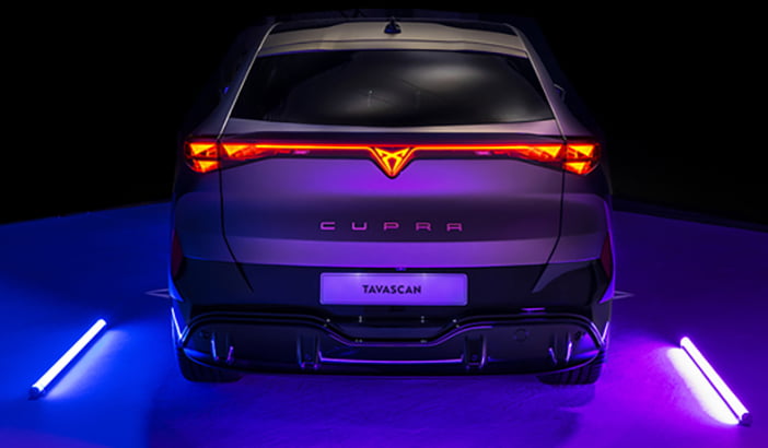 Tavascan4