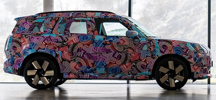 MiniCountrymanPlaag2