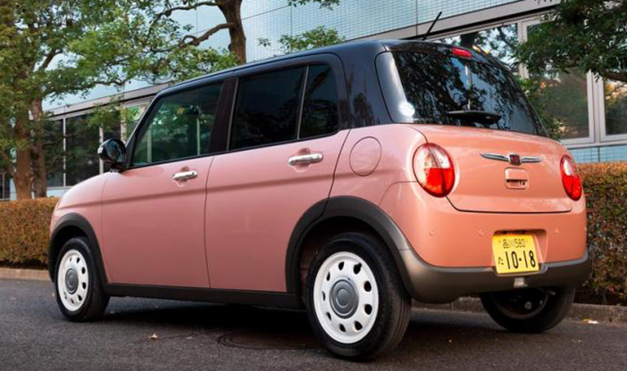 SuzukiLapinTest2
