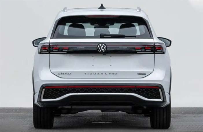 VolkswagenTaygon2