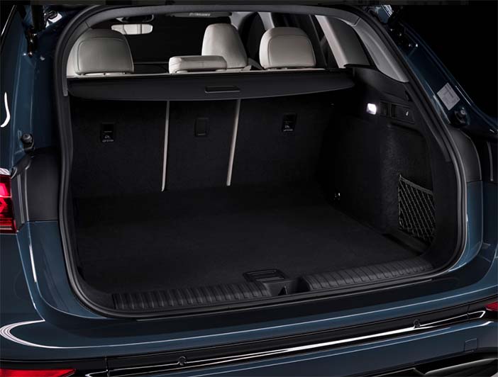 AudiQ6eTron11