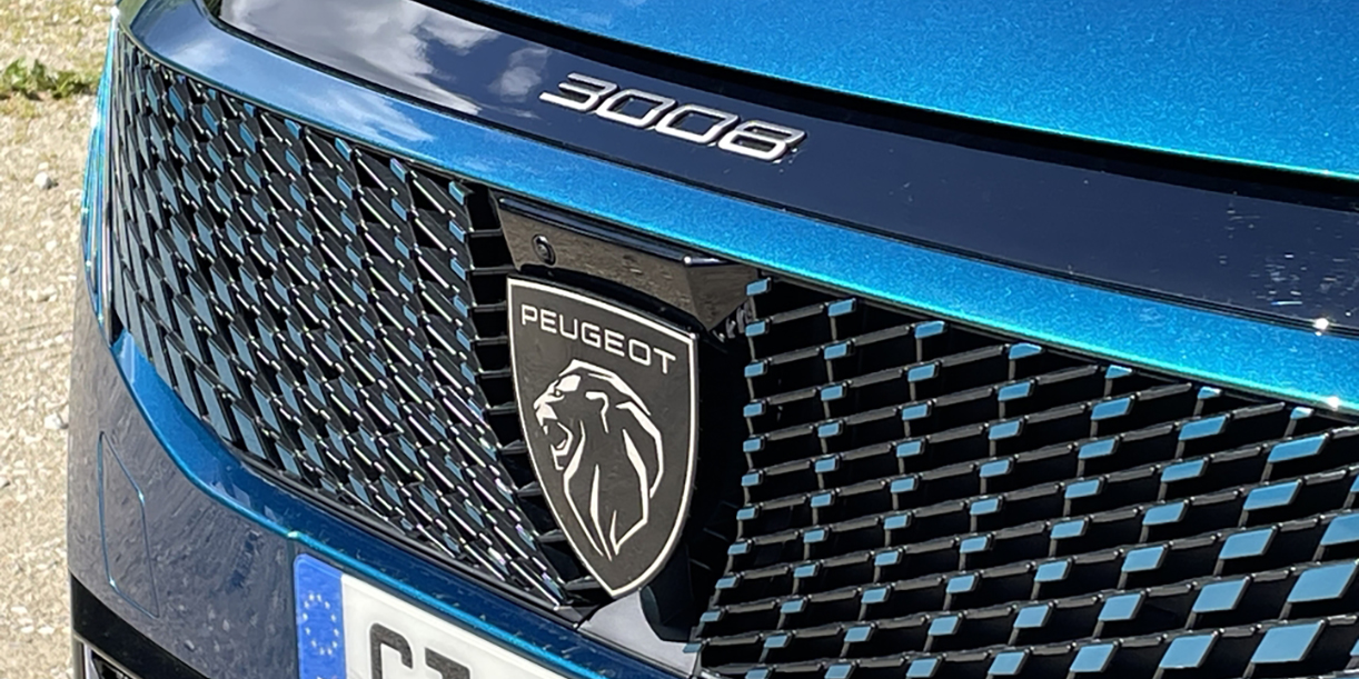 PeugeotBlauw