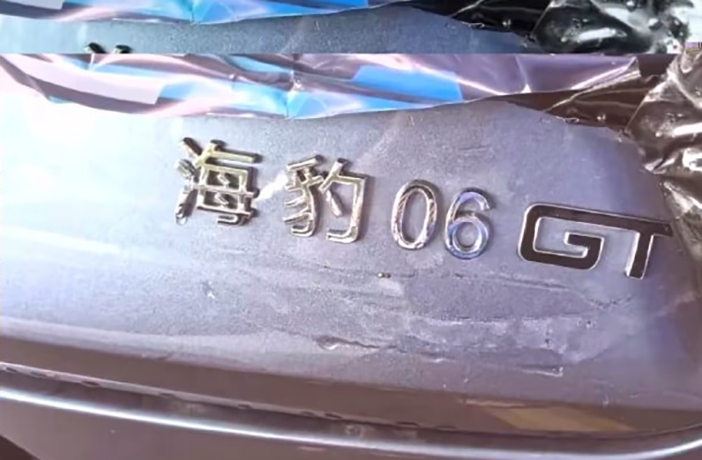 BYDseal06GT2