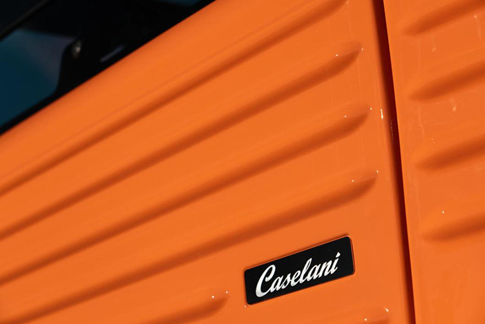 CaselainiAmi13