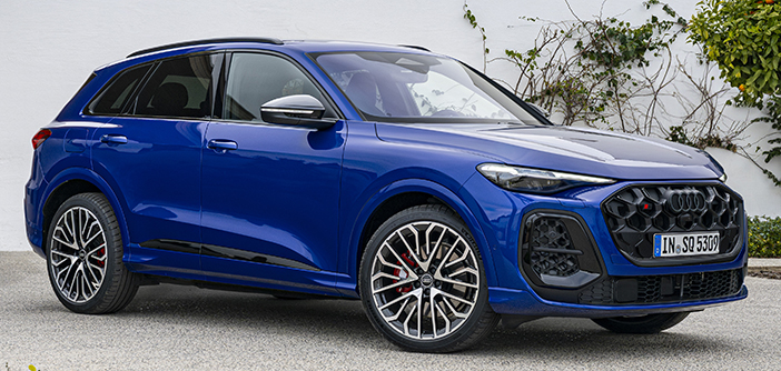 AudiQ5SQ5Test14