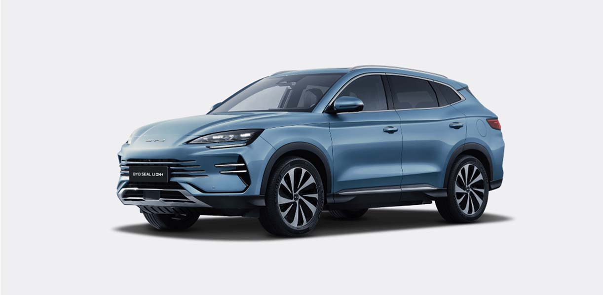 BYDsealUdmiWitteAchtergrond