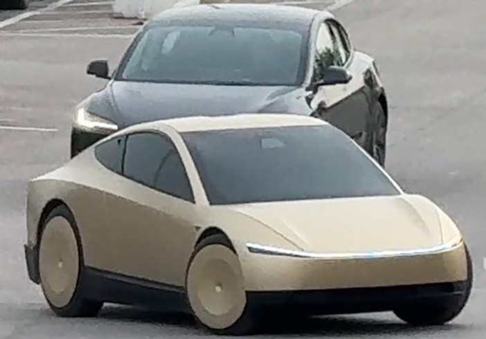 TeslaRobotaxi2