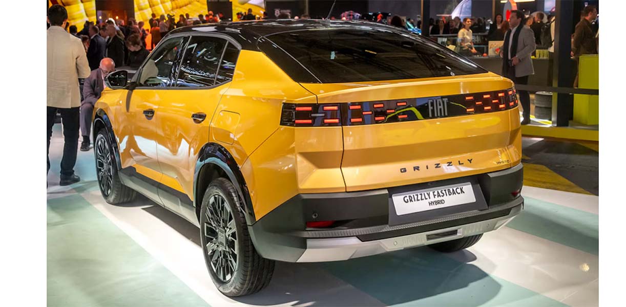Fiat Grizzly Live